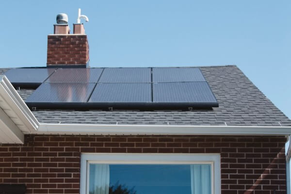 PEST CONTROL CHESHUNT, Hertfordshire. Services: Solar Panel Bird Proofing. Keep Your Solar Panels Safe from Avian Pests with Local Pest Control Ltd's Specialized Bird Proofing Services in Cheshunt